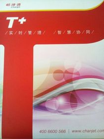 成都市财务管理软件市场概览 厂家、供应商与网上贸易代理